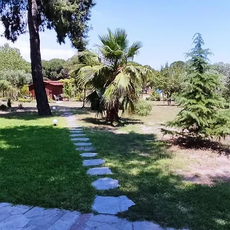 Vasso Karidi Apartament *